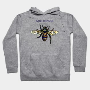 Eastern Honey Bee Hoodie